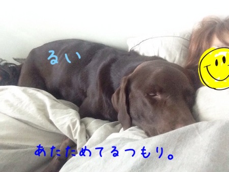 2014-01-17 19.23.09.jpg