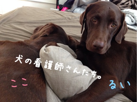 2014-01-17 20.47.52.jpg