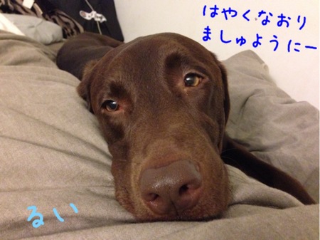 2014-01-17 20.49.47.jpg