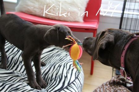 2labs-play03.jpg