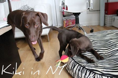 2labs-play07.jpg