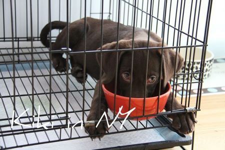 2labs-play09.jpg