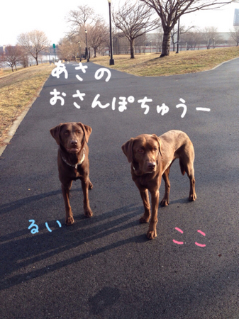 C57725B4-5A19-41CD-8B71-43642D65356B.jpg