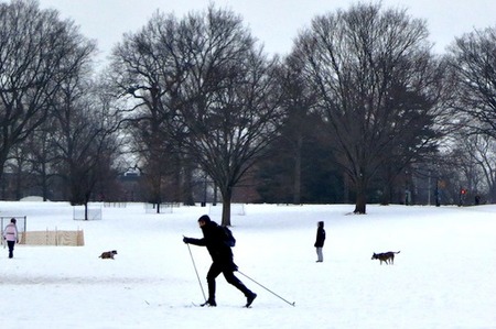 IMG_1655.jpg