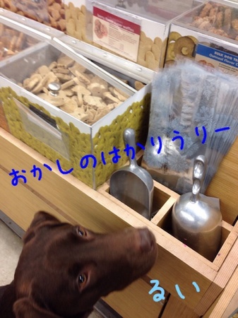 IMG_5487.jpg