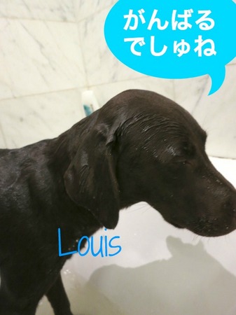 bath-time-lab06.jpg
