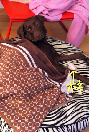 bed02.jpg