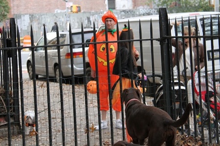 brooklyn05.jpg
