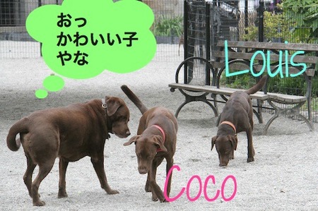 choco-ojisan03.jpg