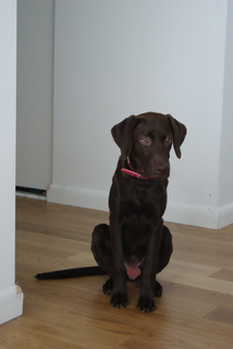 coco0.jpg