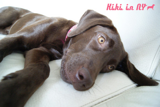 couch-coco.jpg