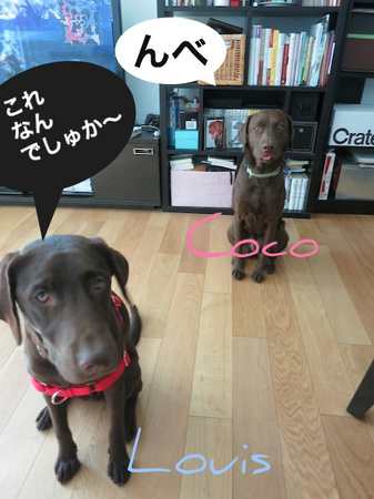 easy-walk02.jpg