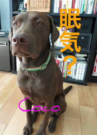 easy-walk04.jpg