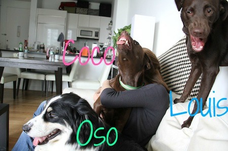 home-playdate02.jpg