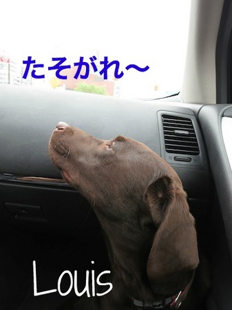lab-drive03.jpg