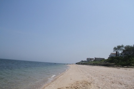 li-beach-lab06.jpg