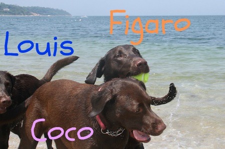 li-beach-lab12.jpg