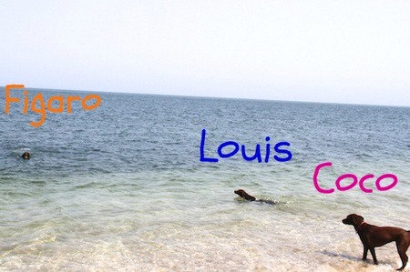 li-beach01.jpg