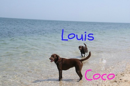 li-beach04.jpg