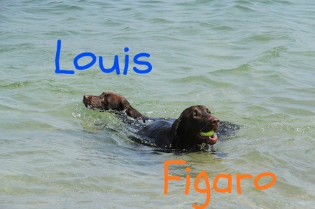 li-beach05.jpg