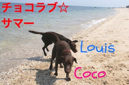 li-beach06.jpg