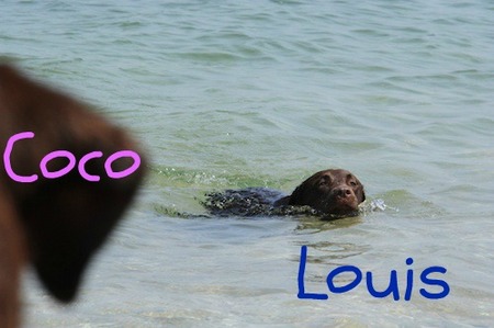 li-beach08.jpg