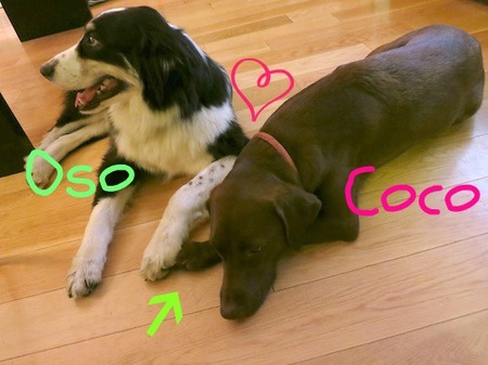 play-date08.jpg