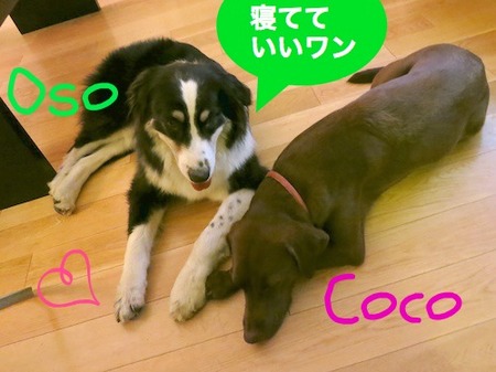 play-date09.jpg