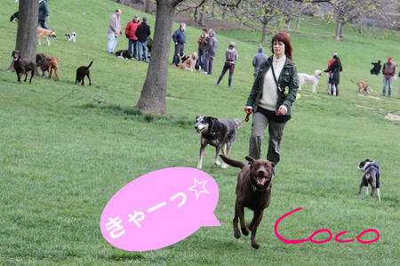 prospect-park02.jpg