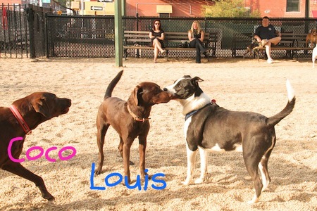 run-and-labs07.jpg