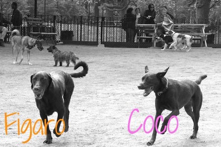 tompkins-sq-p06.jpg