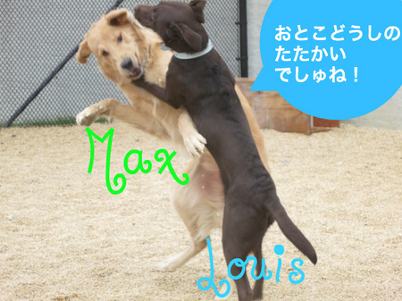 with-gol-02.jpg