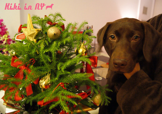 xmastree1.jpg