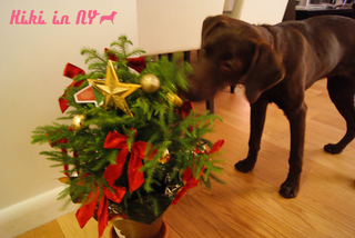 xmastree2.jpg