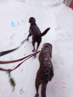 image-20140215211741.png