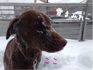 image-20140215211801.png