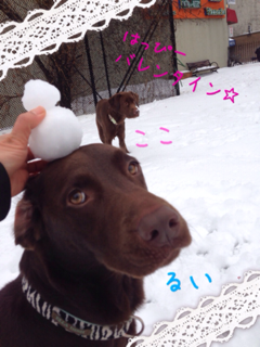 image-20140215211823.png