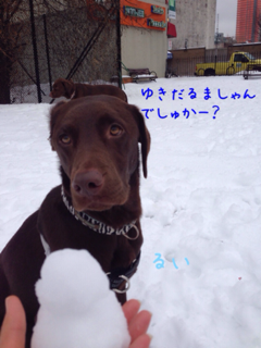 image-20140215211830.png
