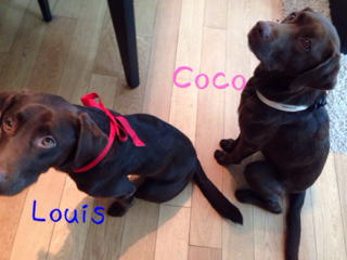 image-20140218224854.png