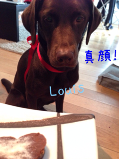 image-20140218224958.png
