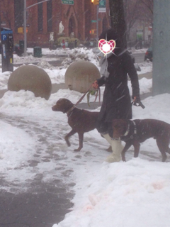 image-20140225205620.png