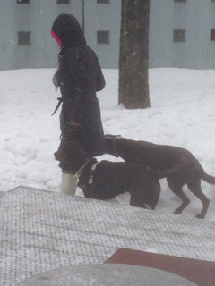 image-20140225205628.png